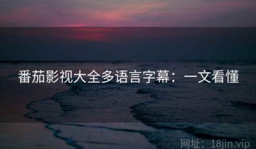 番茄影视大全多语言字幕：一文看懂