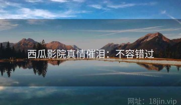 西瓜影院真情催泪：不容错过