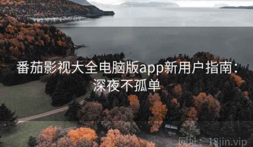 番茄影视大全电脑版app新用户指南：深夜不孤单