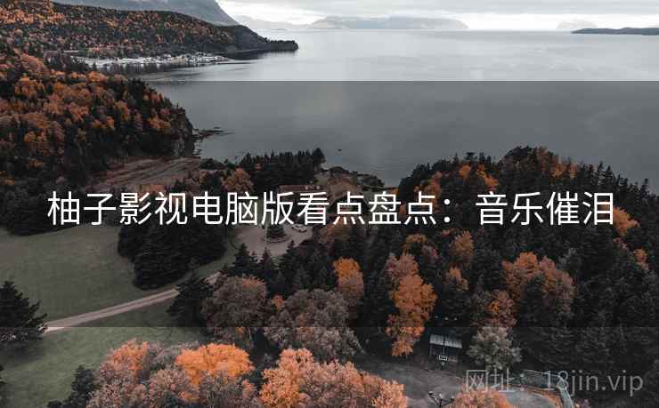 柚子影视电脑版看点盘点：音乐催泪